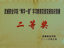 兩學(xué)一做學(xué)習(xí)教育黨章黨規(guī)知識競賽二等獎