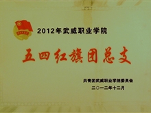 2012年武威職業(yè)學(xué)院五四紅旗團總支獎